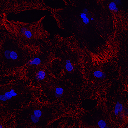 1642562189153228.png 圖片4.png