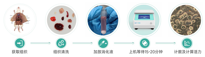 1741769621182389.jpg 3.jpg